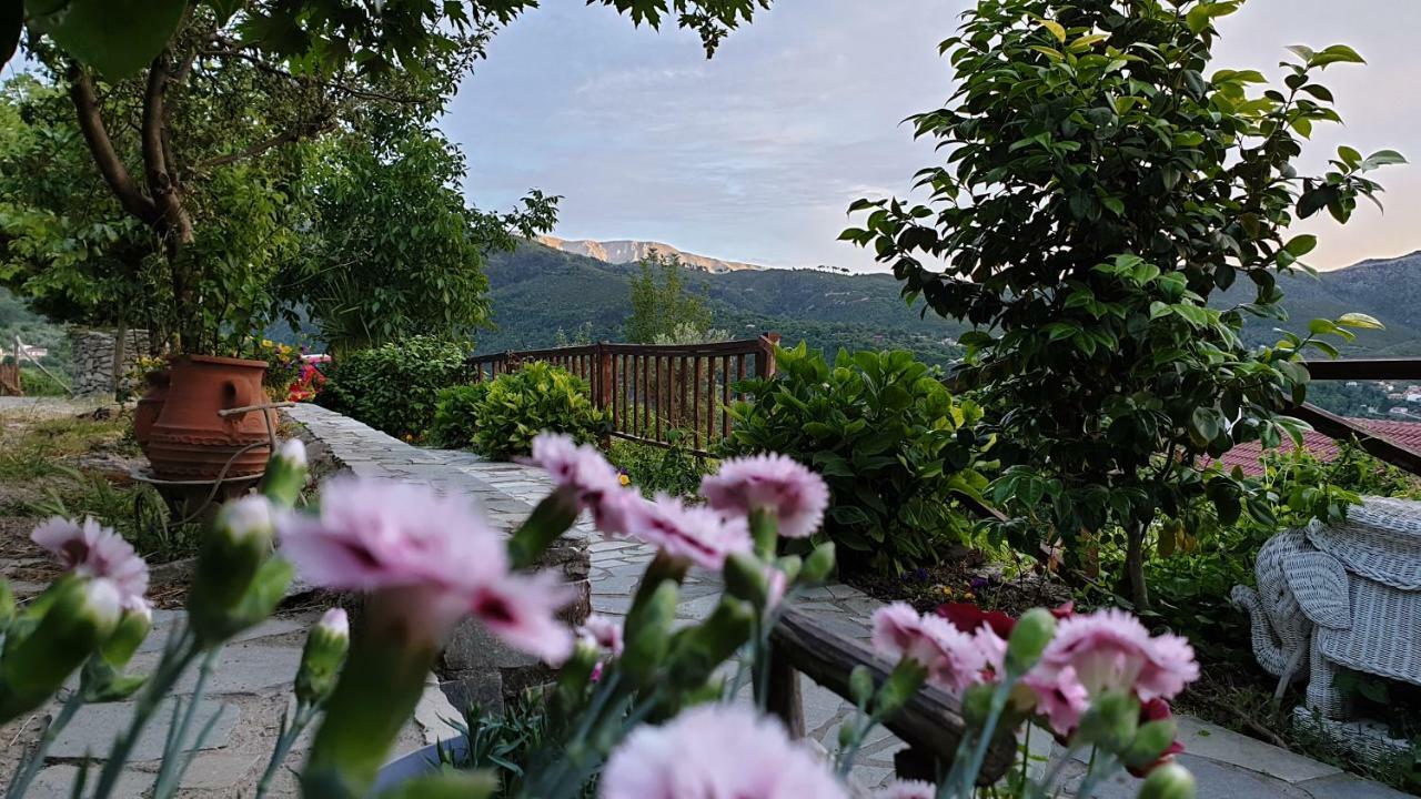 Alagonia Country Homes Zewnętrze zdjęcie